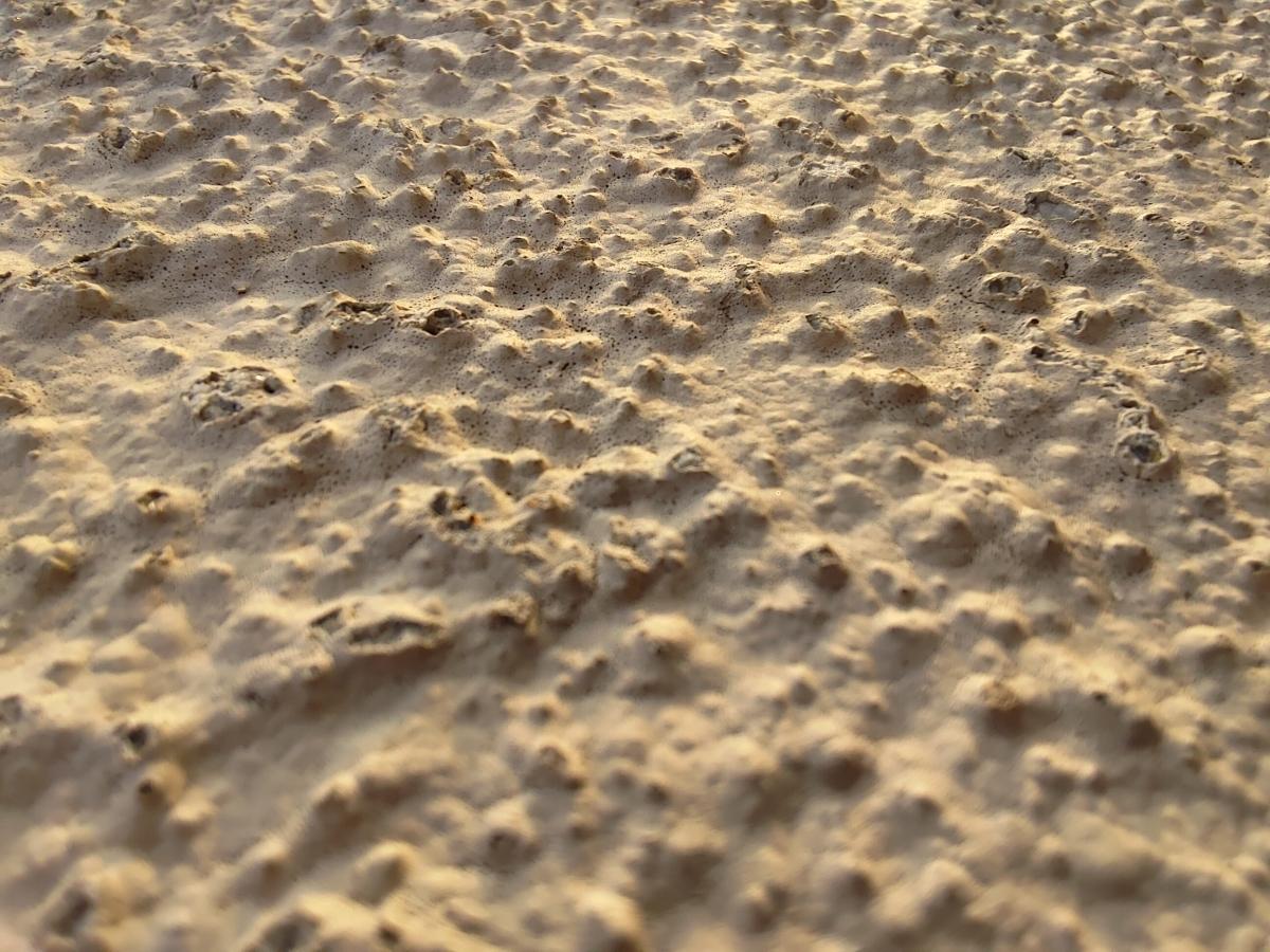 ROG Phone 3 camera sample for