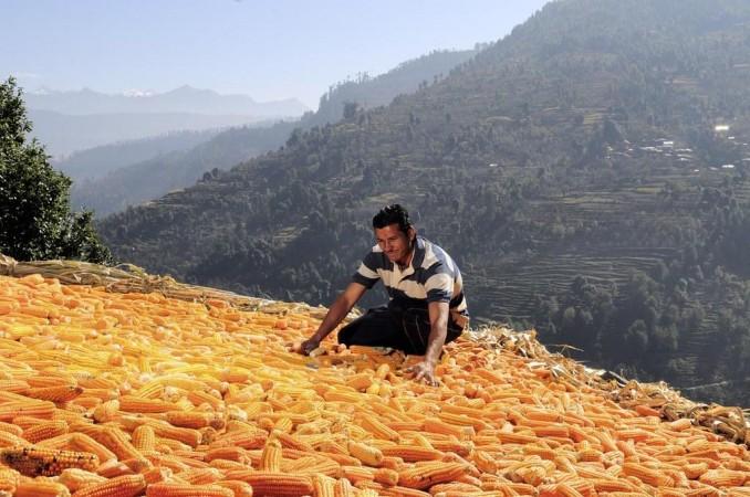 Himachal Pradesh and Section 188 Himachal Pradesh and Section 188