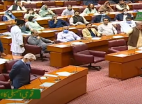 Pakistan parliament