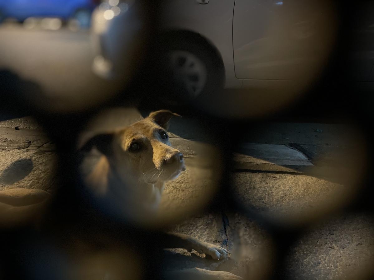 iPhone 12 camera samples