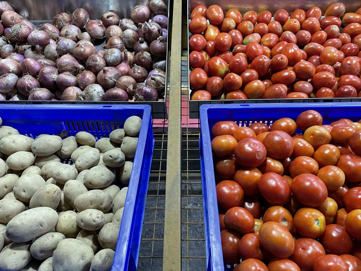 iPhone 12 camera samples