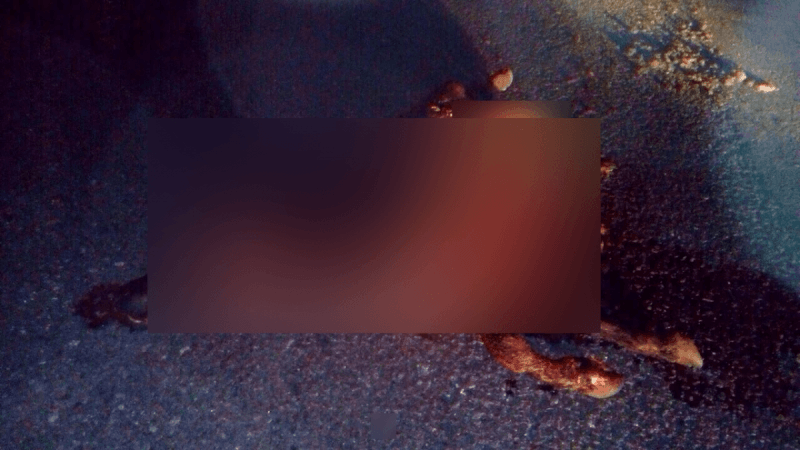 Surat buffalo blur