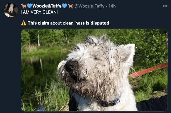 This claim is disputed