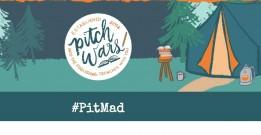 What is #PitMad; best of 280-character pitches every aspiring writer must read