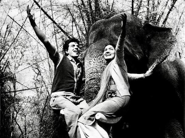 dharmendra