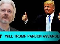 Assange