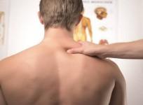 spine