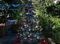 Navya Nanda shares pics of christmas tree