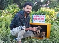 dog home