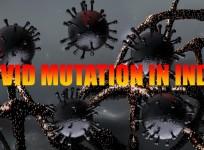 Coronavirus mutation