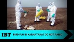 kARNATAKA BIRD FLU