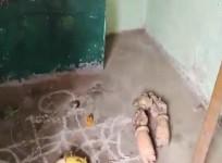No, Ganesha idol hasn't been vandalized in Andhra Pradesh