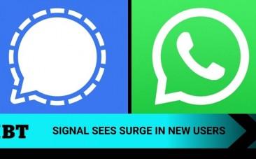WhatsApp Signal