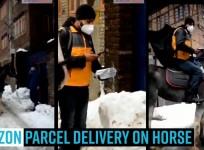 Amazon parcel delivery on horse