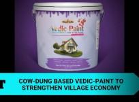 Vedic paint