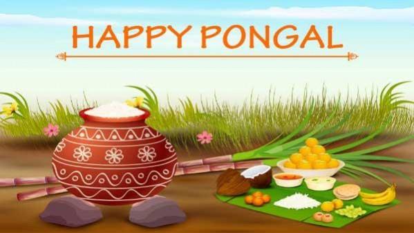 Pongal 2021 wishes
