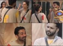 bigg boss 14