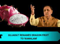 Gujarat
