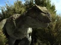 dinosaur
