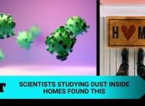 Dyson dust study