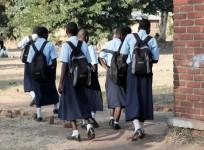 School