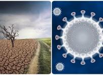 coronavirus climate