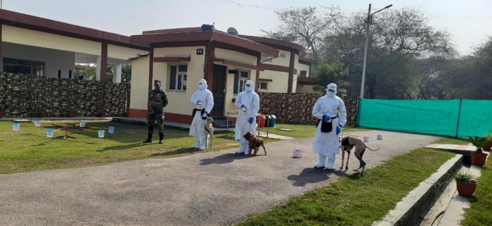 trained canines to detect covid19