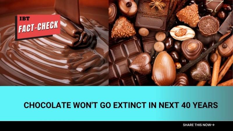 Fact check: No, chocolate won't go extinct in next 30 years