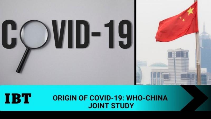 WHO china joint study