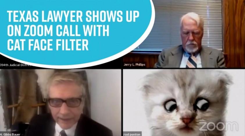 I M Not A Cat Texas Lawyer Assures Judge After Showing Up On Zoom Call With Face Filter Ibtimes India I M Not A Cat Texas Lawyer Assures Judge After Showing Up On Zoom Call With Face Filter Ibtimes India