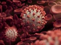 corona virus