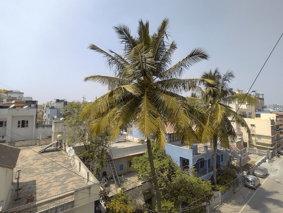 Nokia 5.4 camera sample - Wide angle Nokia 5.4 camera sample