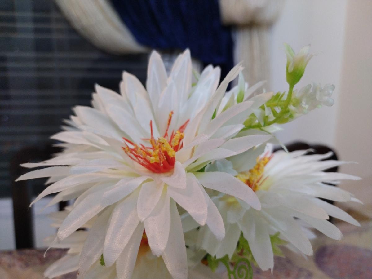 Nokia 5.4 camera sample - Portrait indoor Nokia 5.4 camera sample