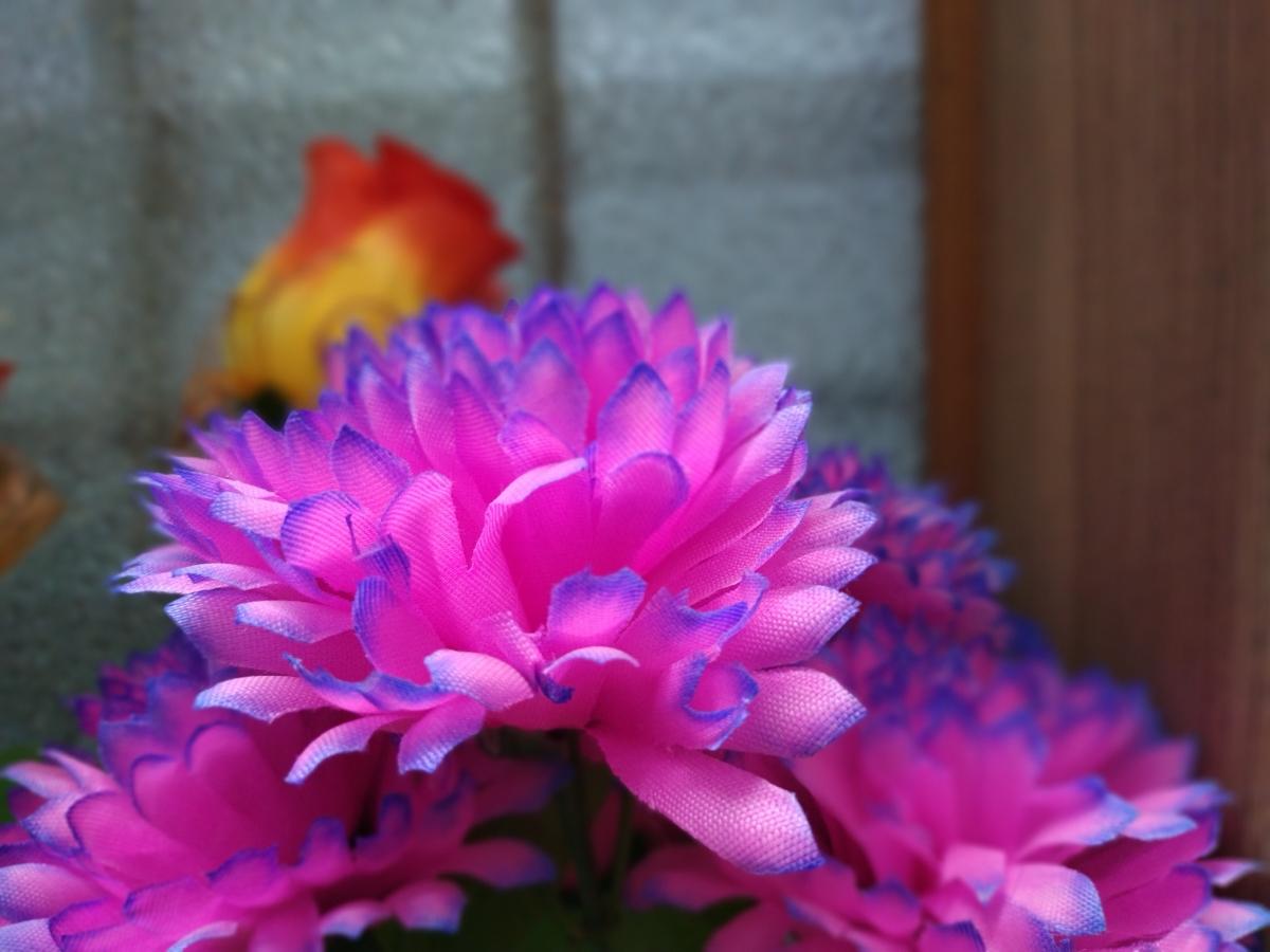 Nokia 5.4 camera sample - Portrait Nokia 5.4 camera sample