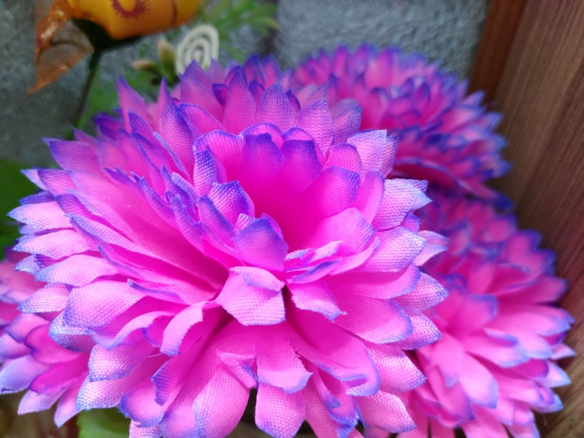 Nokia 5.4 camera sample - Normal Nokia 5.4 camera sample