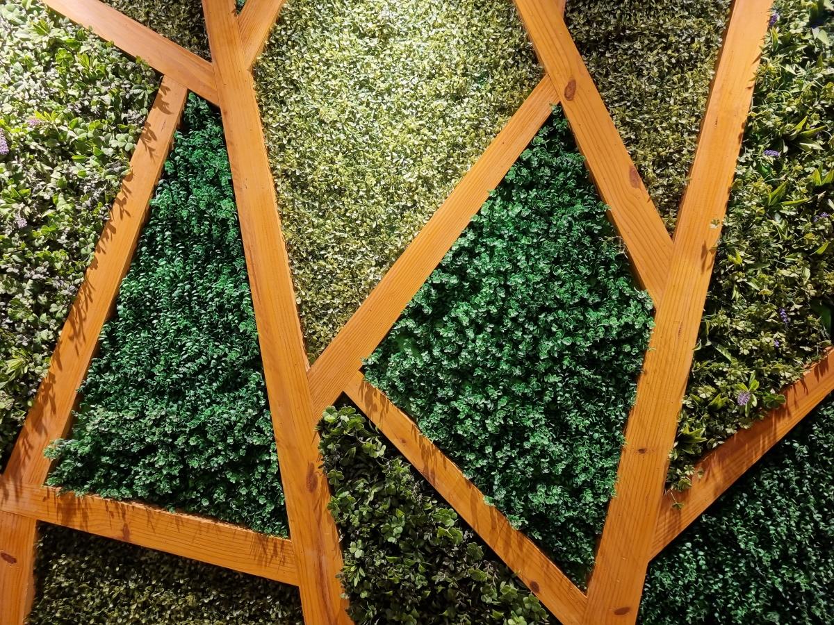 Samsung Galaxy S21 camera sample - Photo mode Samsung Galaxy S21 camera sample