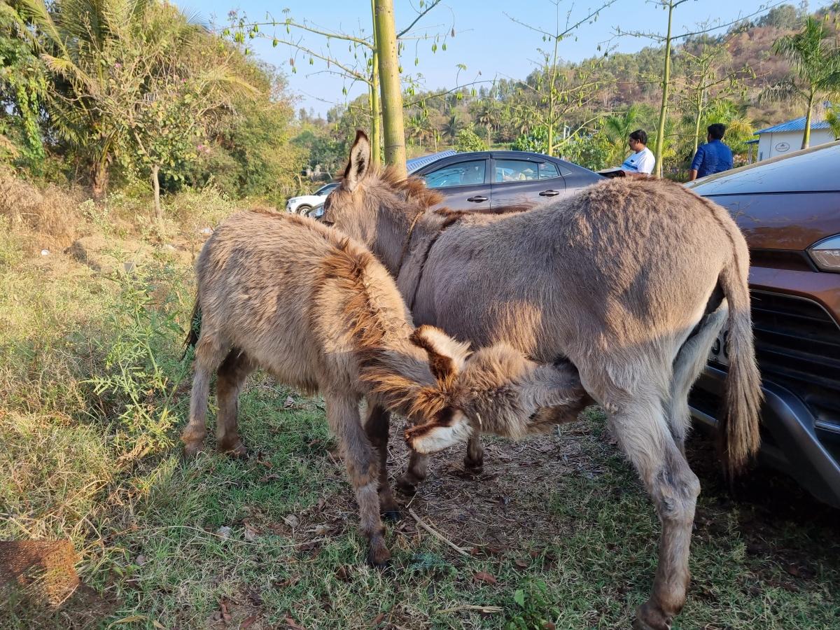 Samsung Galaxy S21 camera sample - Photo mode Samsung Galaxy S21 camera sample