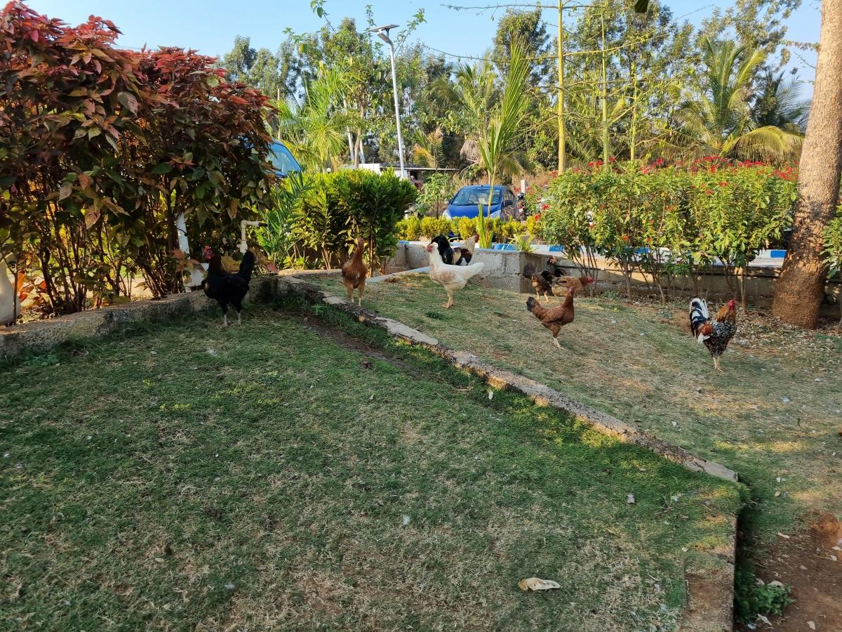 Samsung Galaxy S21 camera sample Samsung Galaxy S21 camera sample