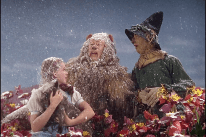 The Wizard of Oz