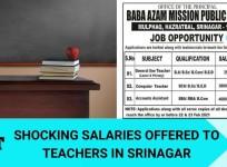 Srinagar school
