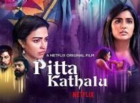 Nandini Reddy's Meera in Pitta Kathalu