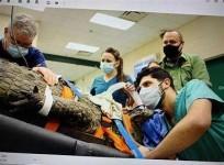 surgery