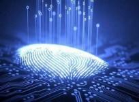 fingerprint