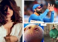 Priyanka Chopra trolled