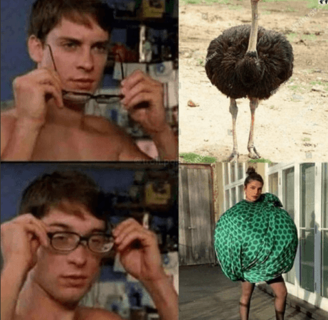 Priyanka Chopra dress memes Priyanka Chopra dress memes