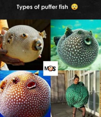 Priyanka Chopra dress memes Priyanka Chopra dress memes
