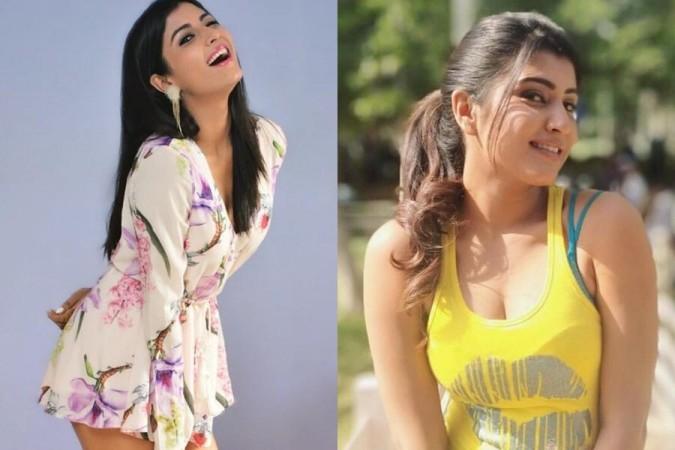 Bigg Boss Kannada 8 Contestant List: Complete Profiles with Photos of