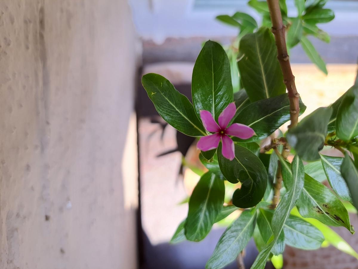 Samsung Galaxy F62 review