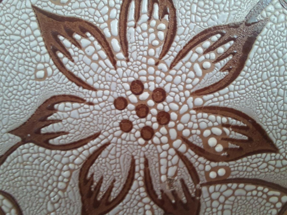 Macro Samsung Galaxy F62 review