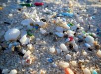 plastic pollution